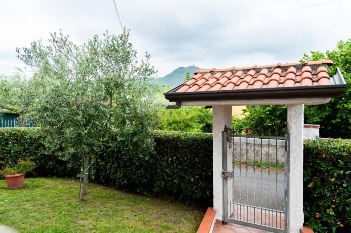 Ortonovo B&B Il Girasole מראה חיצוני תמונה